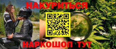 сатива Краснодар