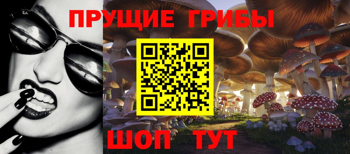 Псилоцибиновые грибы Psilocybine cubensis Карасук