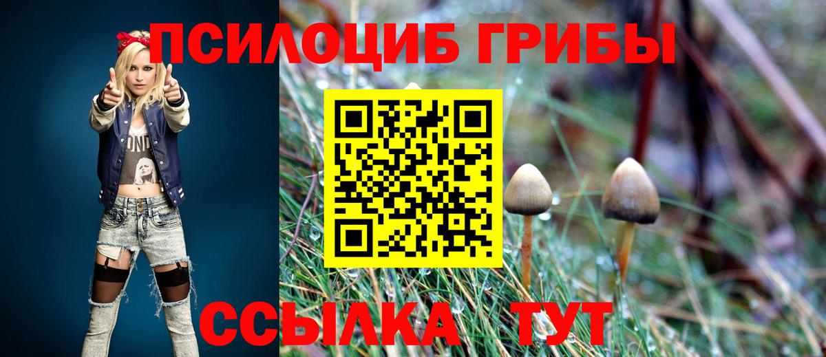 Карасук  Галлюциногенные грибы Magic Shrooms  Вход с VPN  Галлюциногенные грибы Psilocybine cubensis 
