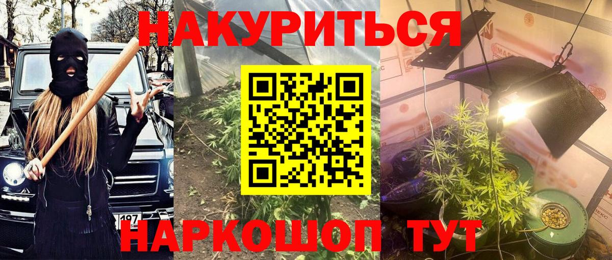 Марихуана сатива Карасук